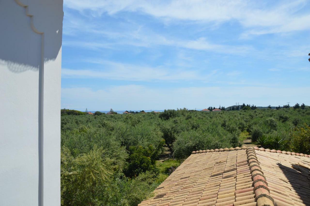 Anemona Apartments And Studios Vasilikos  Exterior photo